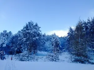 Winter: Things We Love About Utah