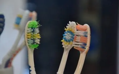 The History of the Modern Toothbrush