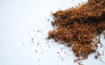 The Risks of Chewing Tobacco