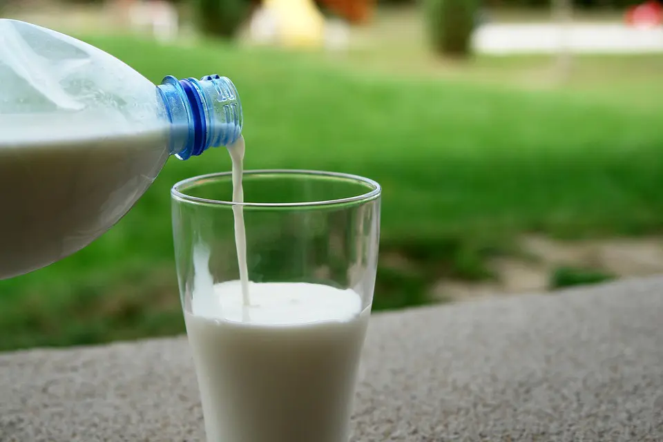Calcium Supports Dental Health Calcium Supports Dental Health