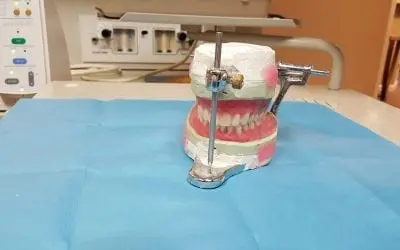 Why do I Need All of These Different Types of Teeth?