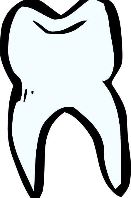 Wow! Those are Some Really Old Teeth