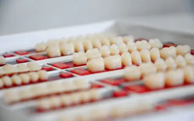 Your Teeth Work as A Team: What Position do they Each Play?