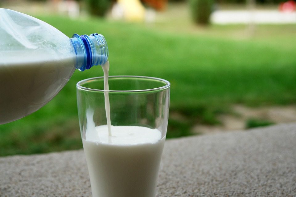 Calcium Supports Dental Health Calcium Supports Dental Health