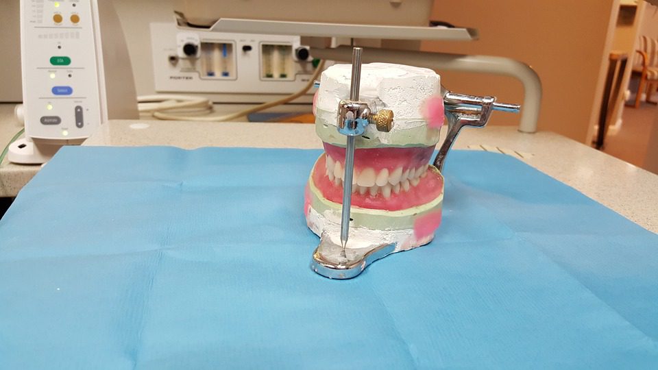 We Need Different Types of Teeth We Need Different Types of Teeth