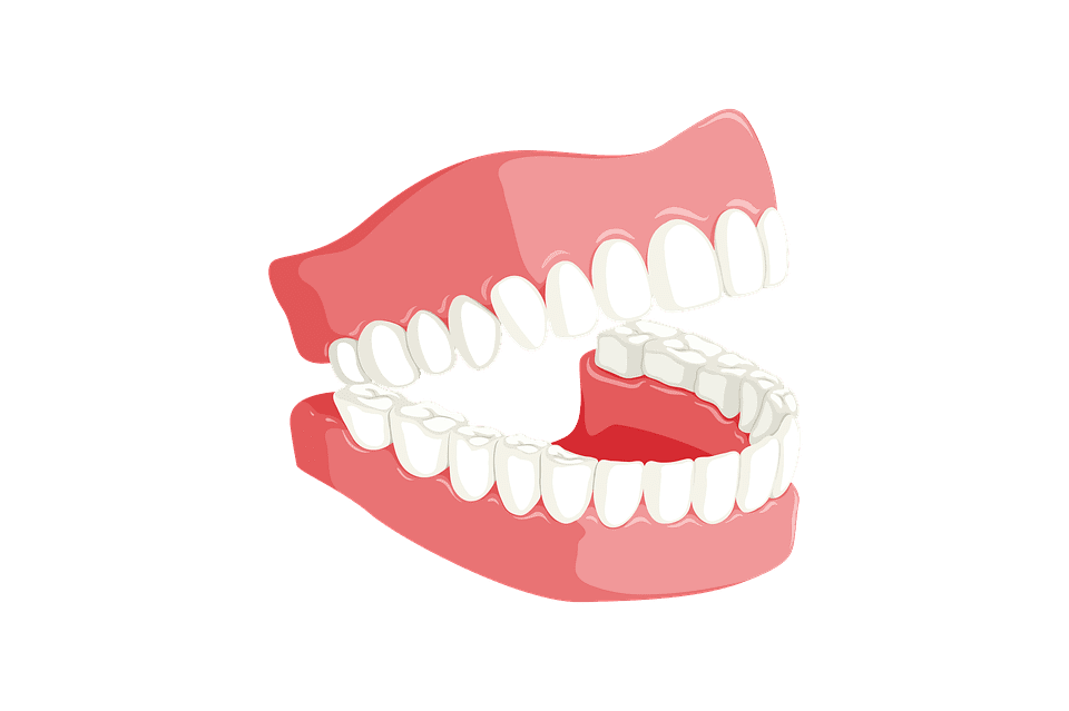 Prolong your Dentures' Lifespan Prolong your Dentures' Lifespan